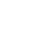 small white TNS hurricane logo